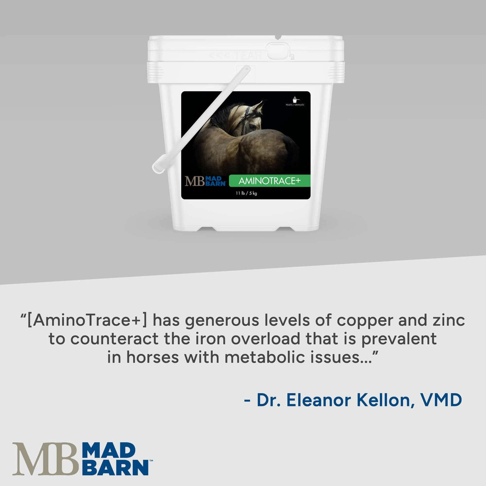 Mad Barn AminoTrace+ dietary balance for forage-based nutrition