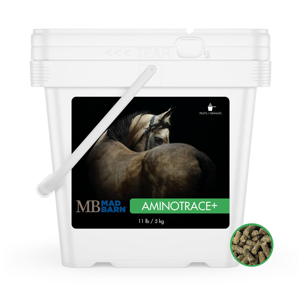 Mad Barn AminoTrace+ hoof growth bottle showing complete hoof support in a labeled bottle