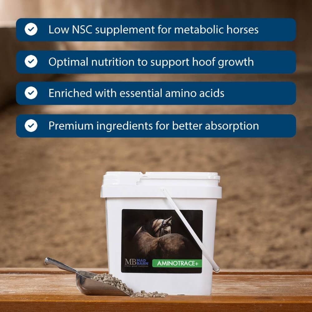 Label detail on Mad Barn AminoTrace+ showing trace minerals and low NSC