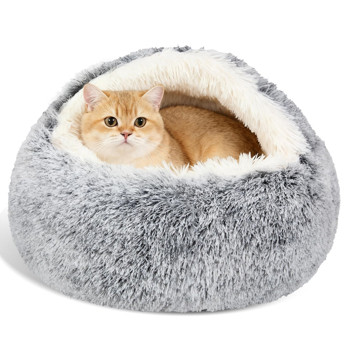 MADDEMCUTE calming cave bed with hooded cover for small pets, cozy privacy