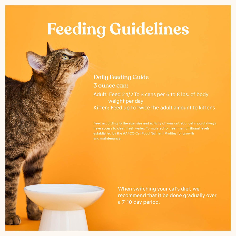 Made by Nacho adult-cat-serving; balanced nutrition in every bowl.