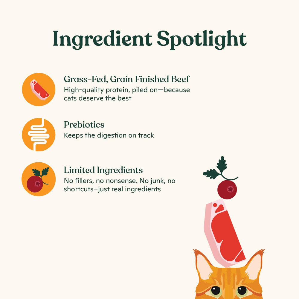 Made by Nacho bone broth cat topper close-up ingredients show natural produce