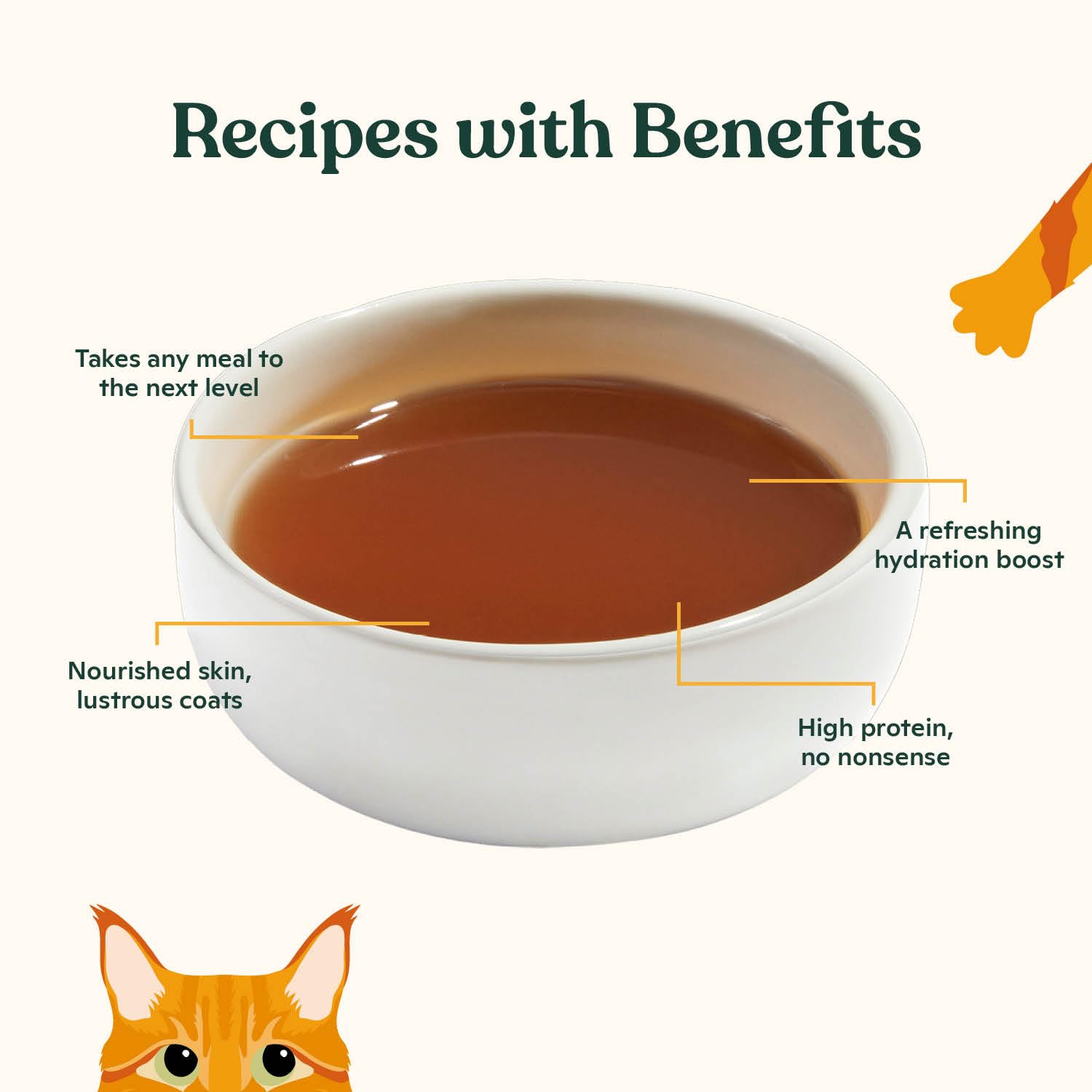 Made by Nacho bone broth cat topper poured over kibble enhances palatability