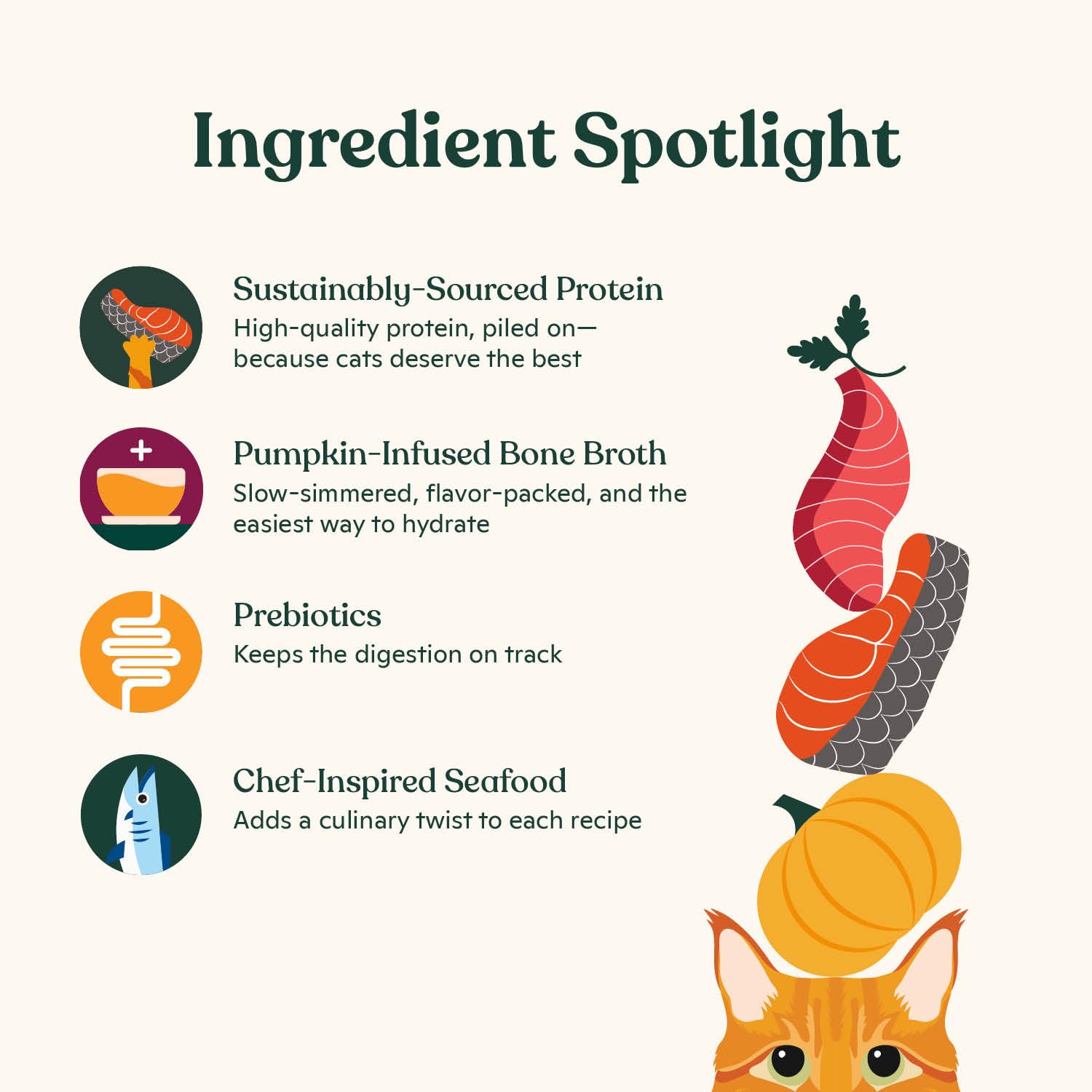 Made by Nacho bone broth pumpkin-infused broth promotes hydration and savory flavor.