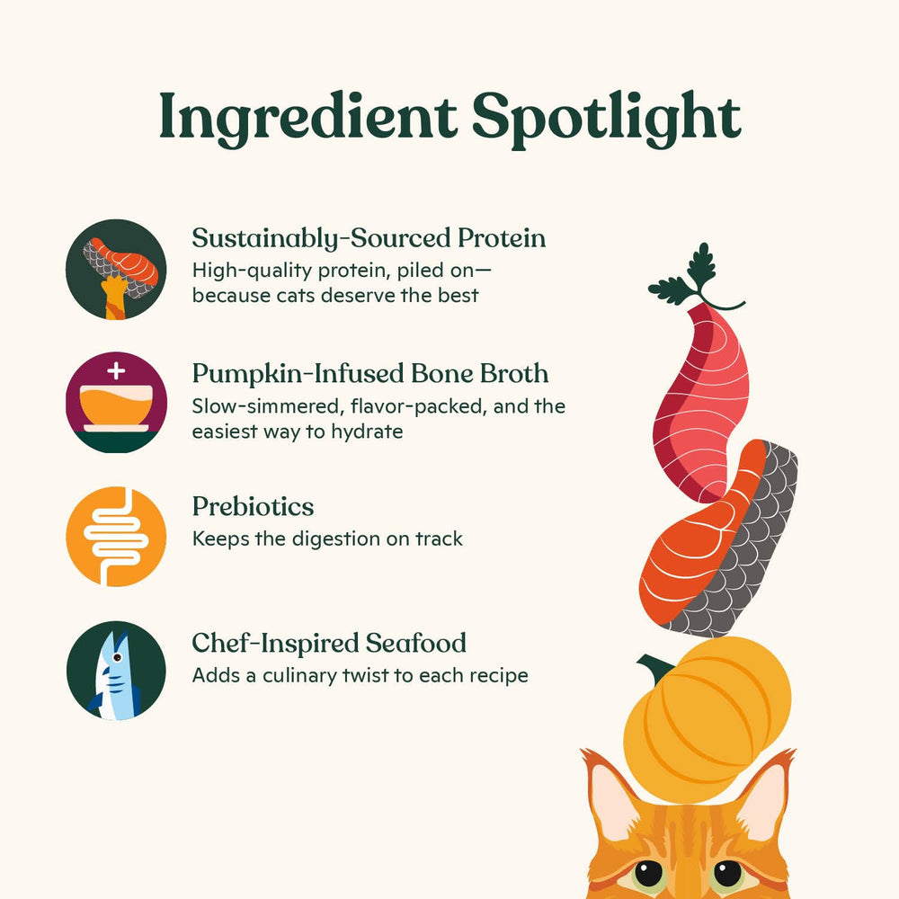 Made by Nacho bone broth pumpkin-infused broth promotes hydration and savory flavor.