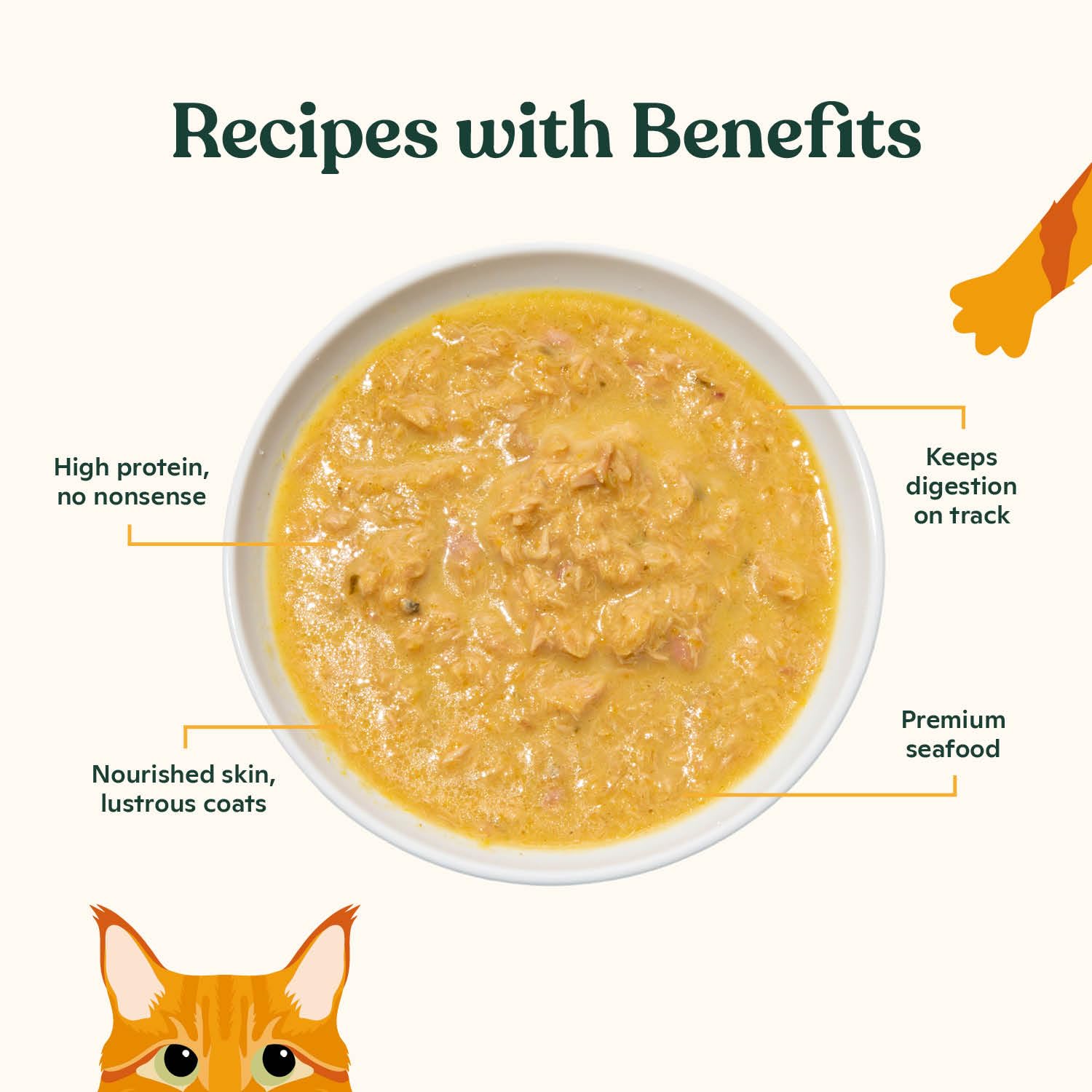 Made by Nacho bone-broth; soup-like scent and hydration boost.