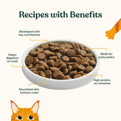 Made by Nacho kibble pumpkin segment highlights fiber and digestion support.