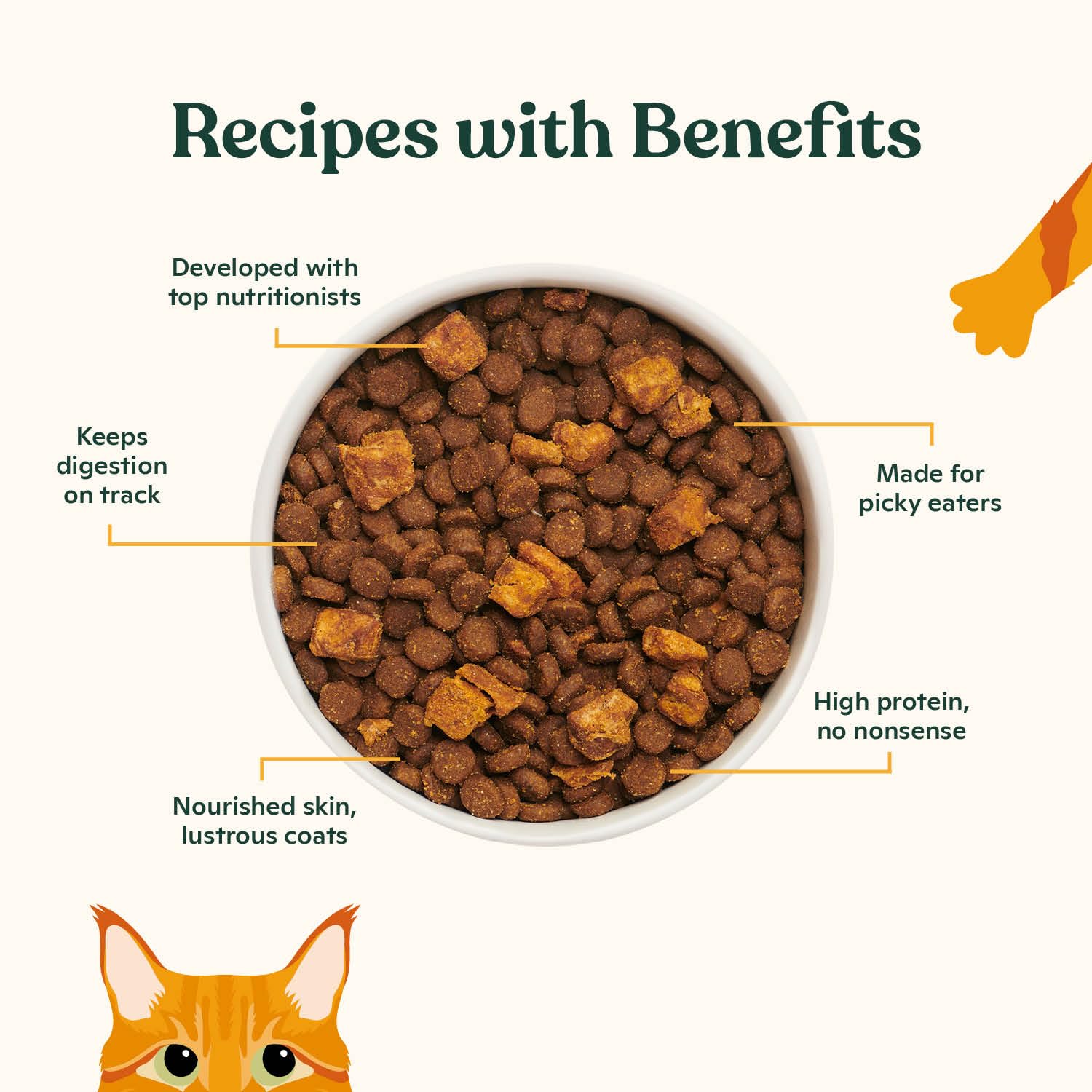 Made by Nacho kibble with cage-free chicken as the first ingredient.