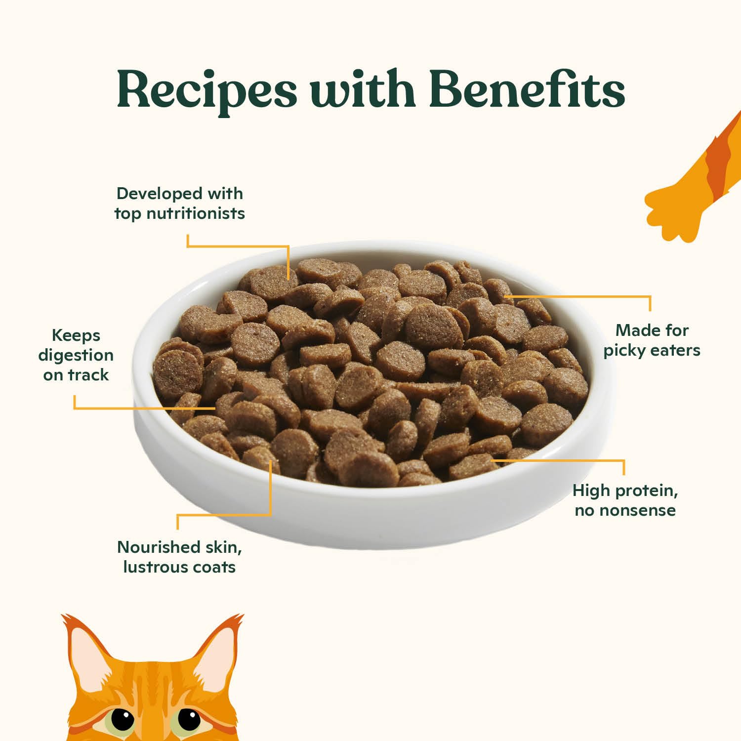 Cage-free chicken protein from Made by Nacho kibble supports muscles.