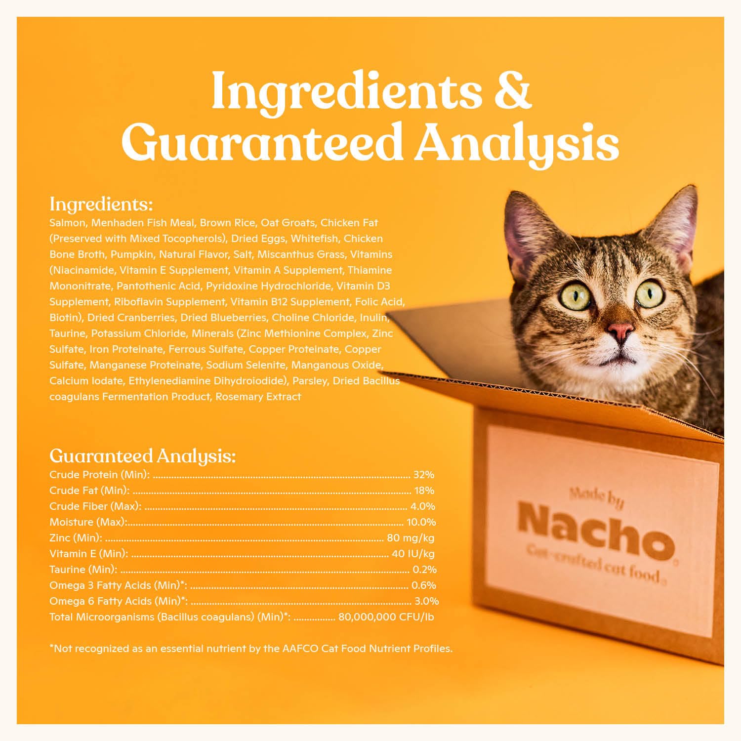 Made by Nacho Dry Cat Kibble crunchy texture photo appeals to picky eaters.