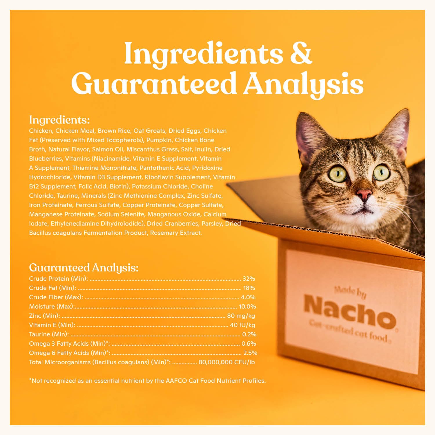 Omega fatty acids promote healthy skin and coat in Made by Nacho kibble.