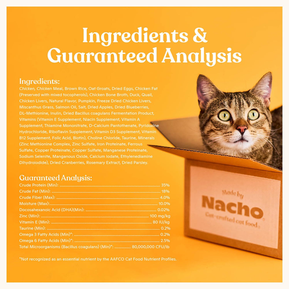 Made by Nacho serving bowl shows cat enjoying an enjoyable meal.