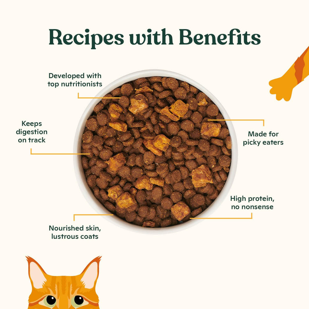 Made by Nacho kibble highlights salmon, whitefish, pumpkin for a nutrient-rich mix.