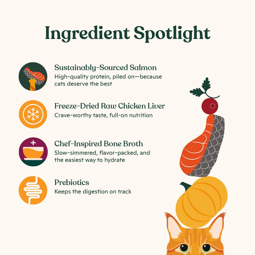 Made by Nacho kibble showing whitefish and pumpkin for balanced nutrition.