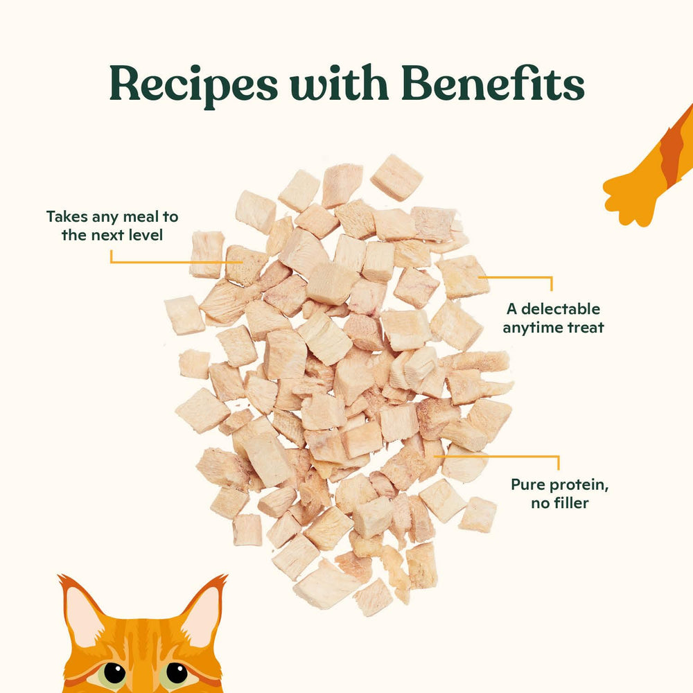 Topper served over kibble boosts flavor during mealtime.