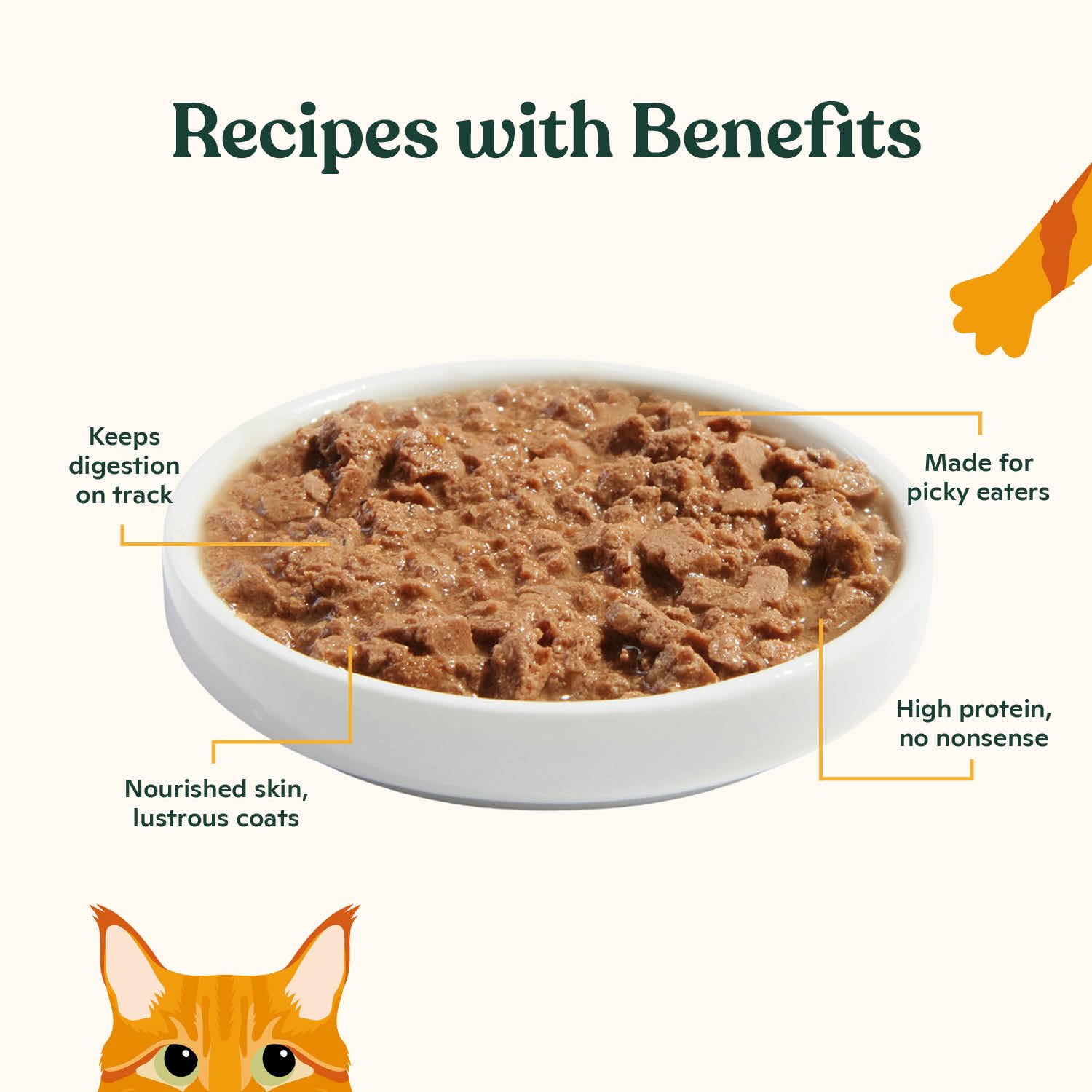 Grain-free pate texture close-up, ideal for cats needing grain-free meals