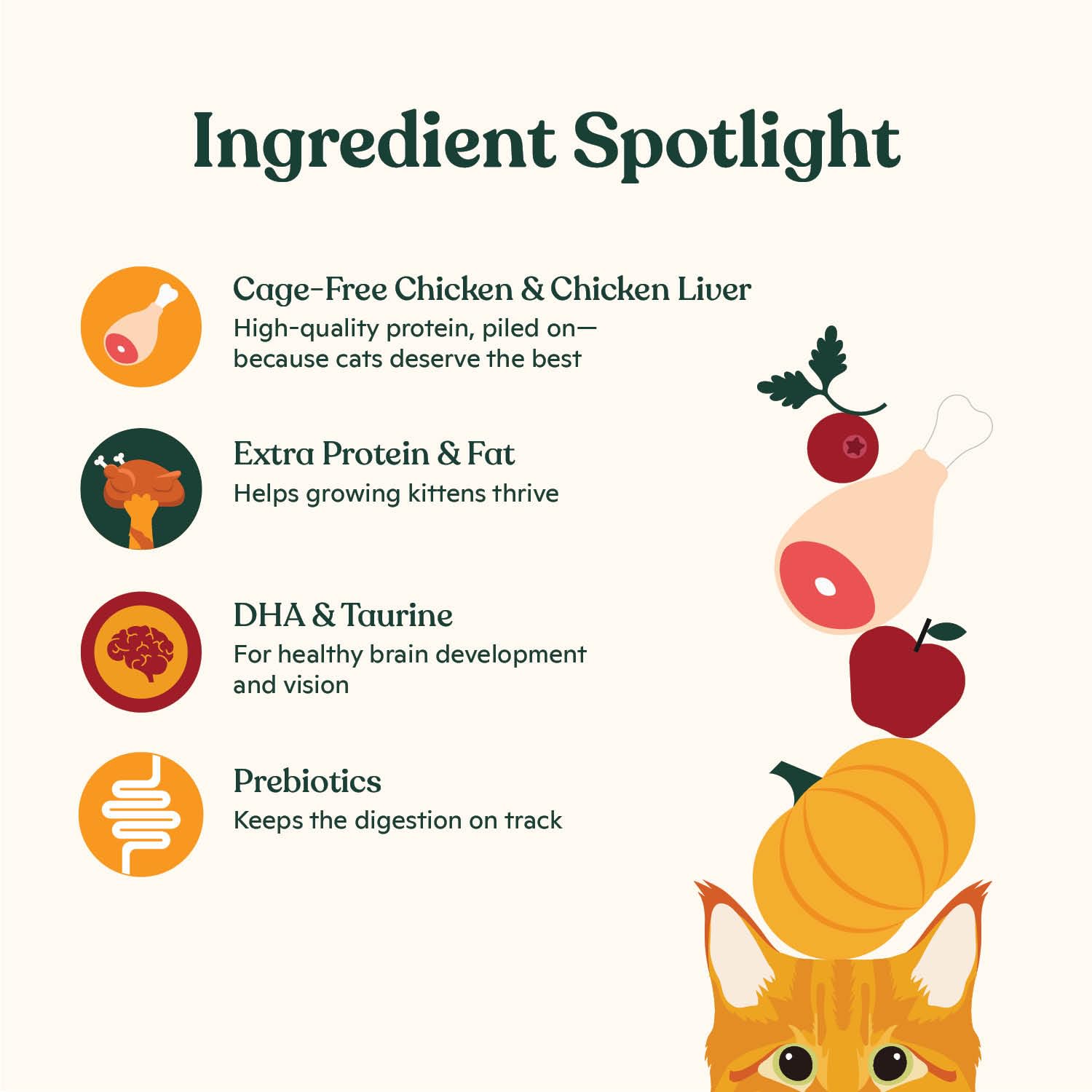 Made by Nacho kitten dry kibble chicken liver – high-protein option with rich aroma for kittens.