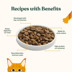 Made by Nacho kitten dry kibble packaging – 4lb bag keeps kibble fresh for easy feeding.