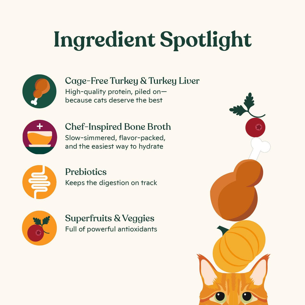 Made by Nacho grain-free cat food image highlights pate benefits.