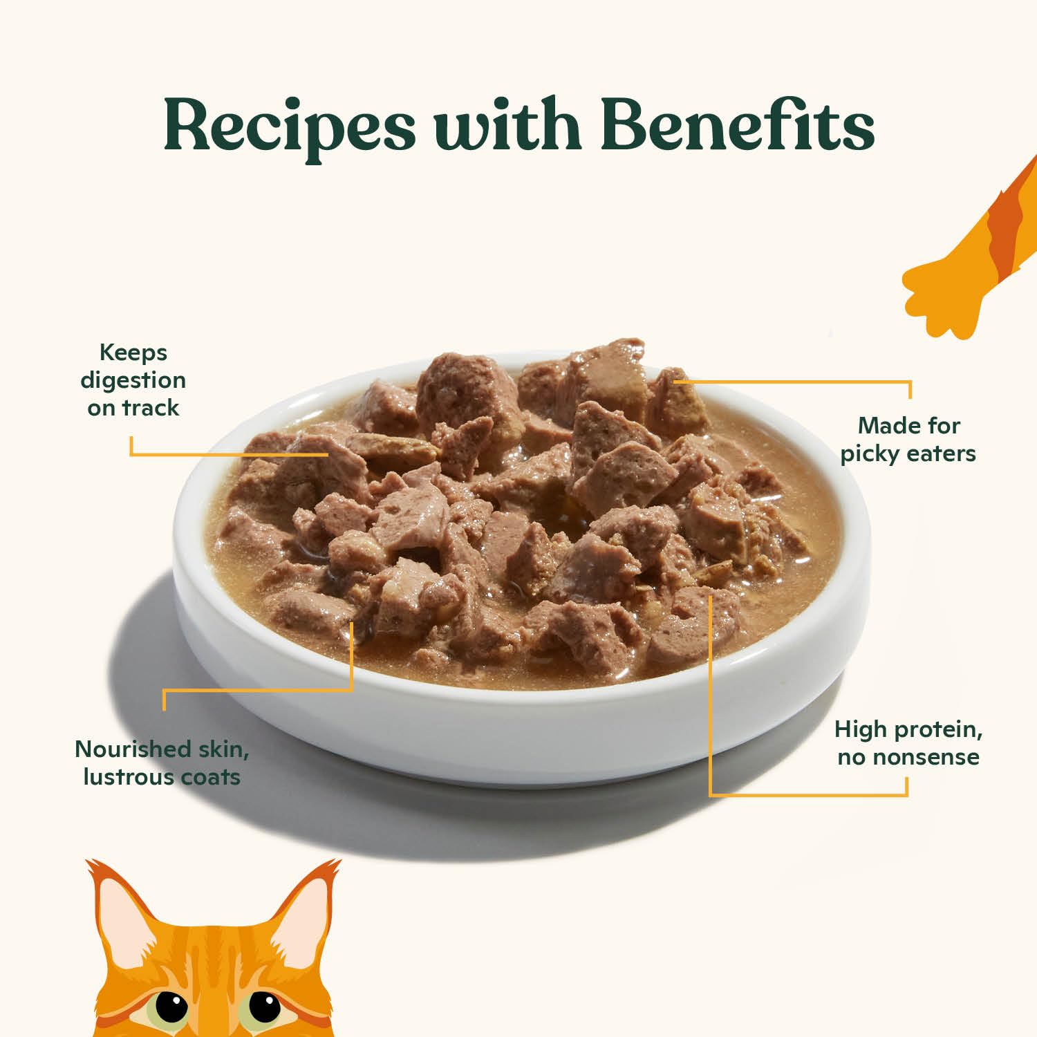 Made by Nacho bone broth gravy adds hydration to the meal.