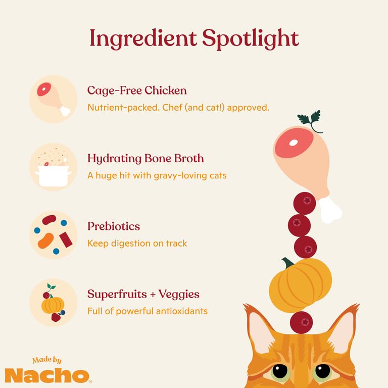 Close-up of Made by Nacho bone broth formula highlighting hydration and flavor.