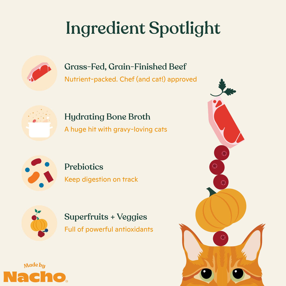 Made by Nacho wet cat food with no fillers for a protein-forward meal.