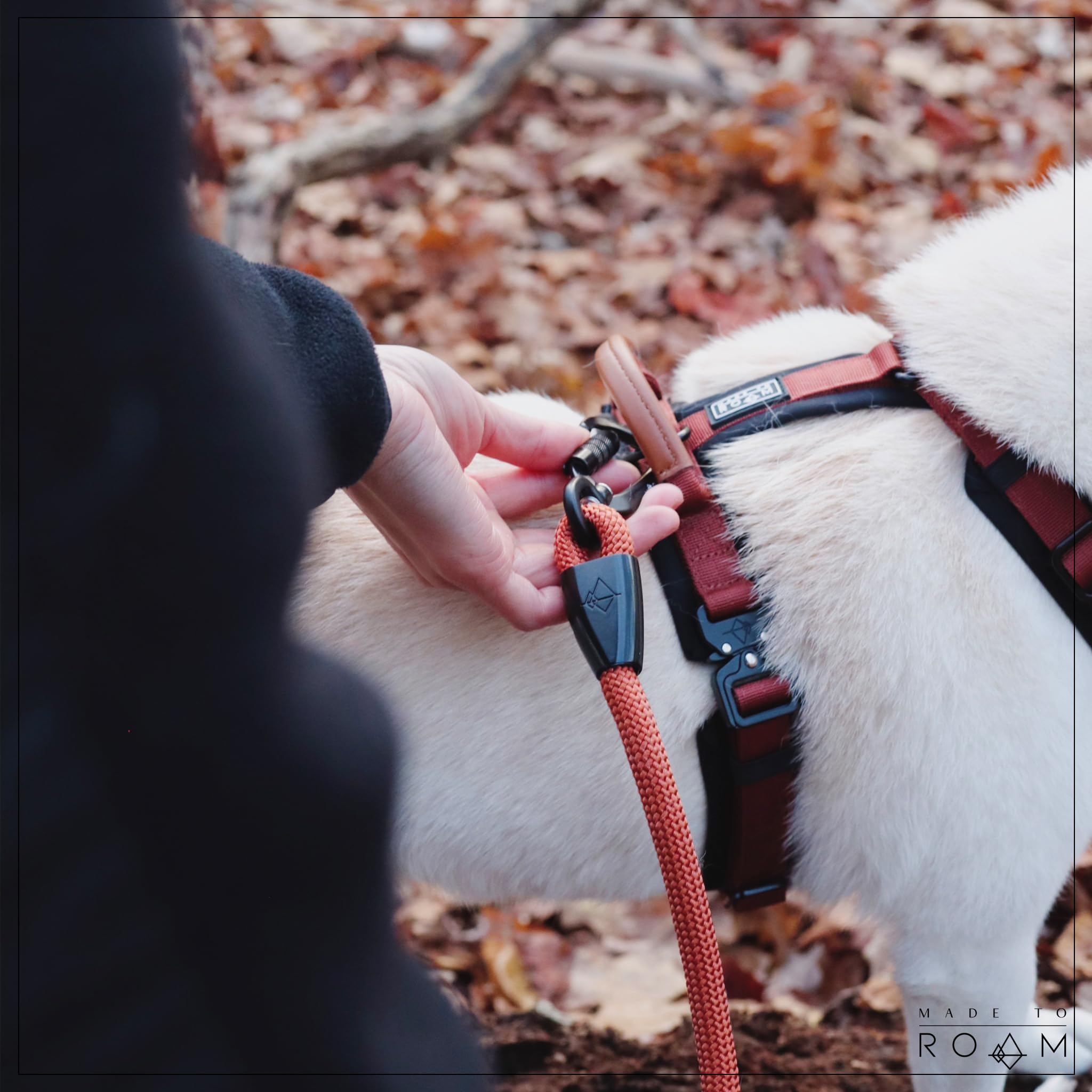MADE TO ROAM Explorer Harness adjustable straps for a tailored fit.