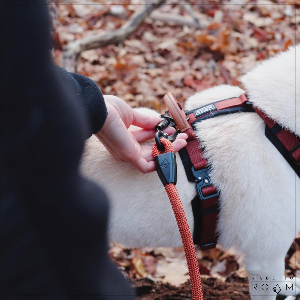 MADE TO ROAM Explorer Harness adjustable straps for a tailored fit.