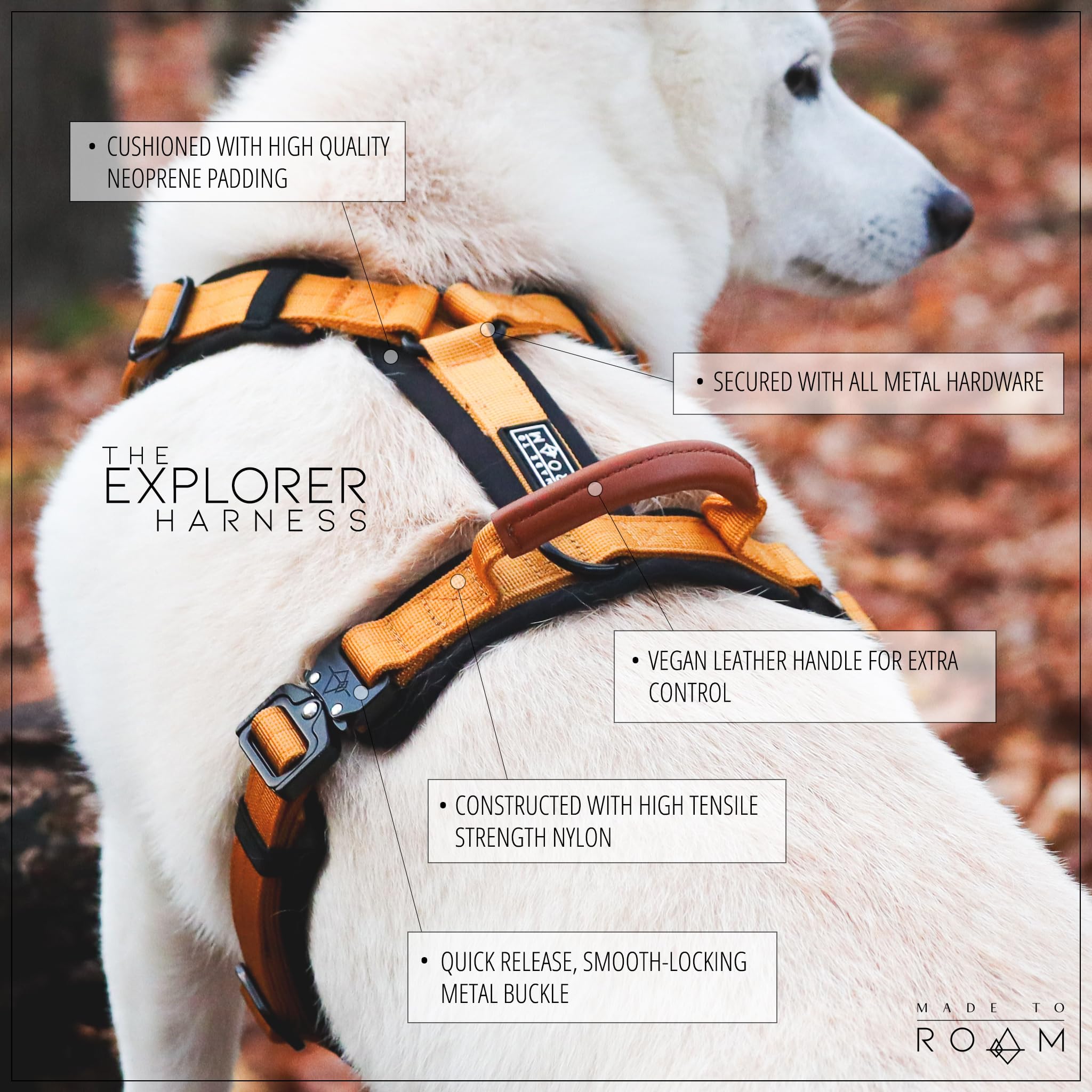 MADE TO ROAM Explorer Harness with D-ring leash attachment for secure control.