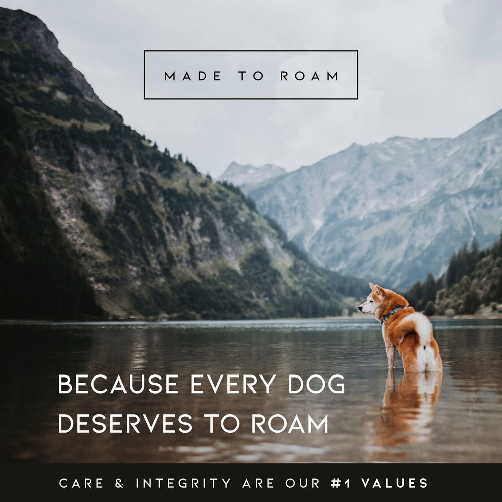 Made to Roam Explorer Harness faux leather handle enhances control on trails