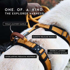 Made to Roam padding close-up showing soft neoprene for comfort