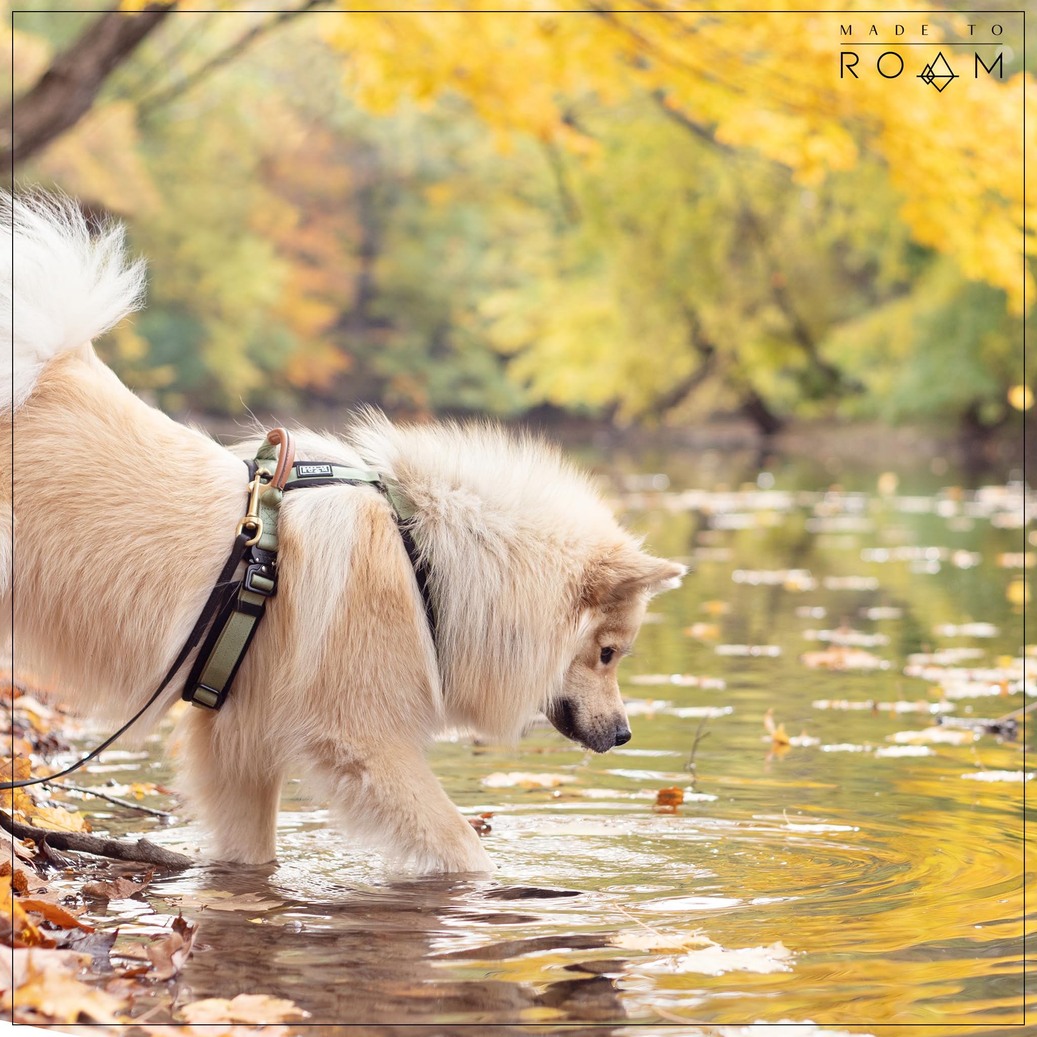 MADE TO ROAM Explorer Harness soft neoprene padding for cushioned wear.