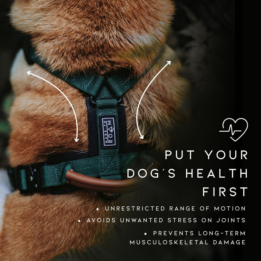 Made to Roam Explorer Harness Y-shape enables natural shoulder movement