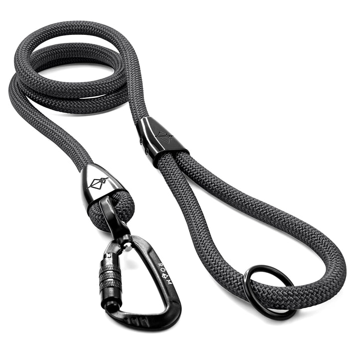 MADE TO ROAM Explorer leash with autolocking carabiner for secure outdoor adventures.