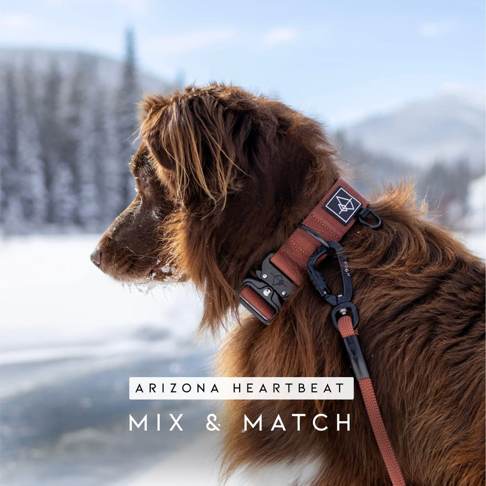MADE TO ROAM Explorer Leash 6ft setup during hike shows easy maintenance