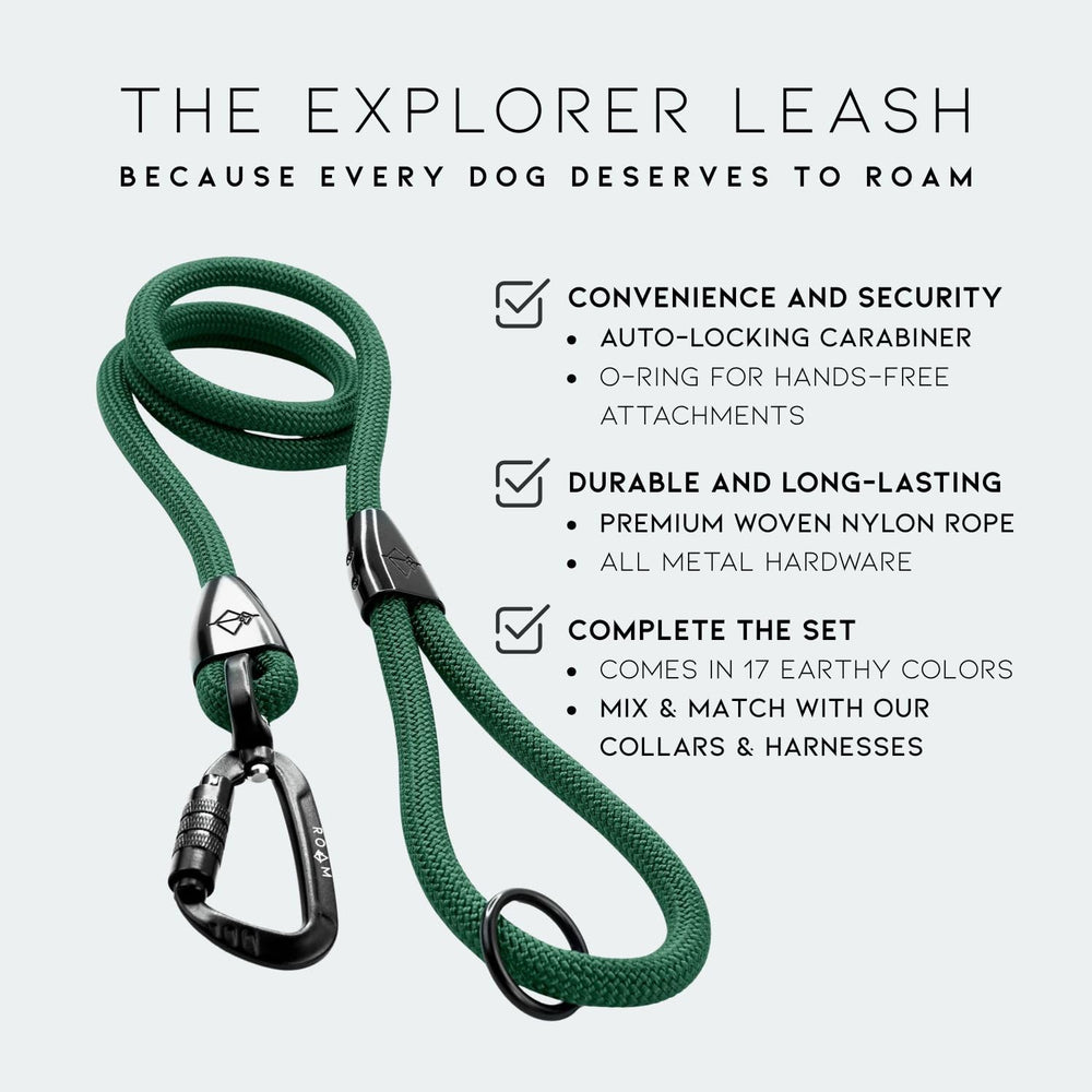 MADE TO ROAM Explorer Leash autolocking carabiner closeup highlights secure quick-release