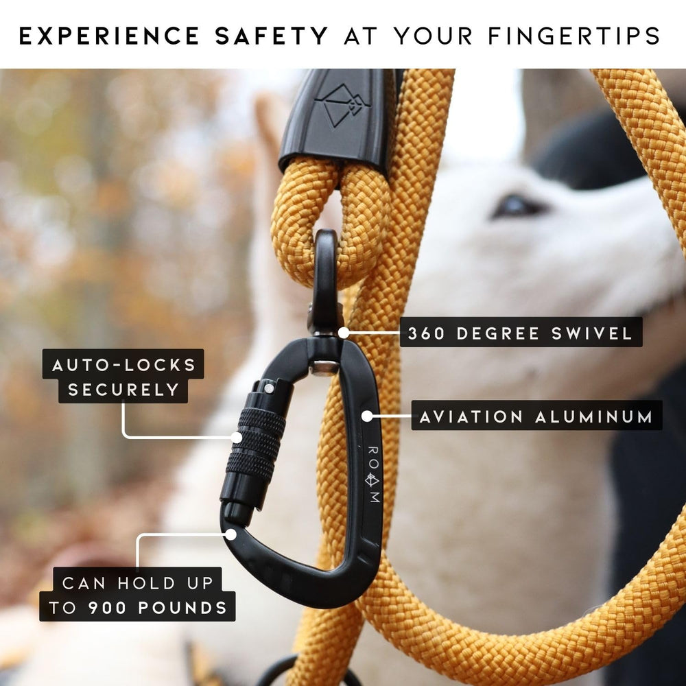 MADE TO ROAM Explorer Leash in use on a dog during a hiking trail.