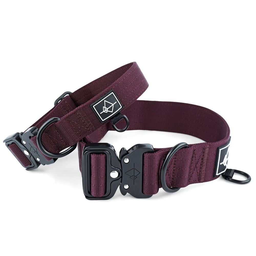MADE TO ROAM Premium Collar quick-release buckle for easy on-off during hikes.
