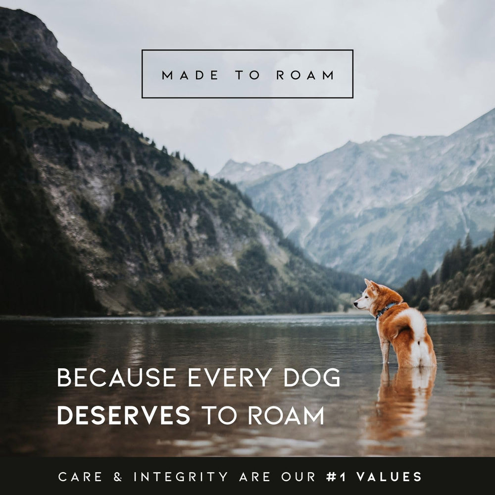 MADE TO ROAM Premium Collar vegan leather handle adds comfortable grip.