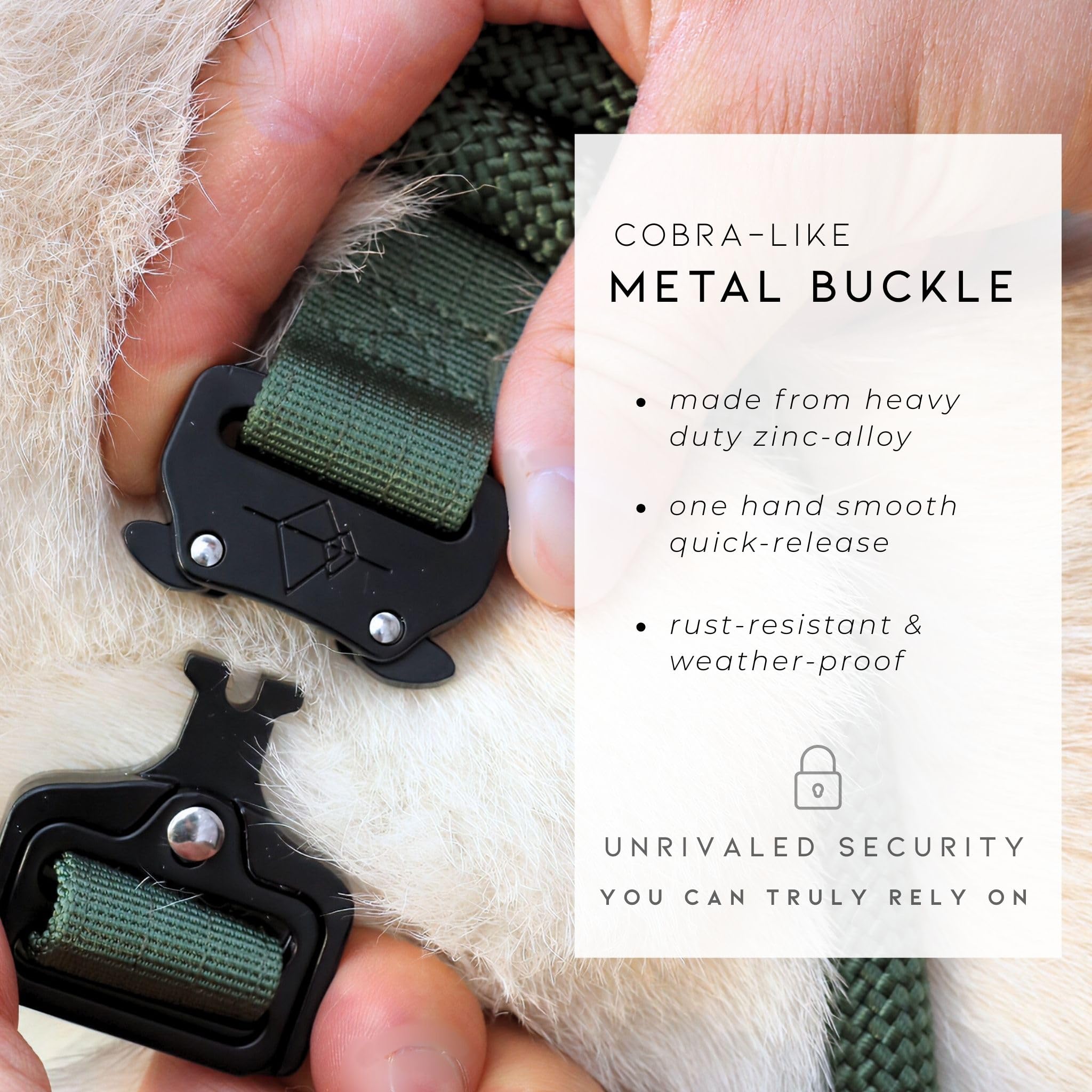 Made to ROAM premium collar large D-ring supports reliable leash attachment