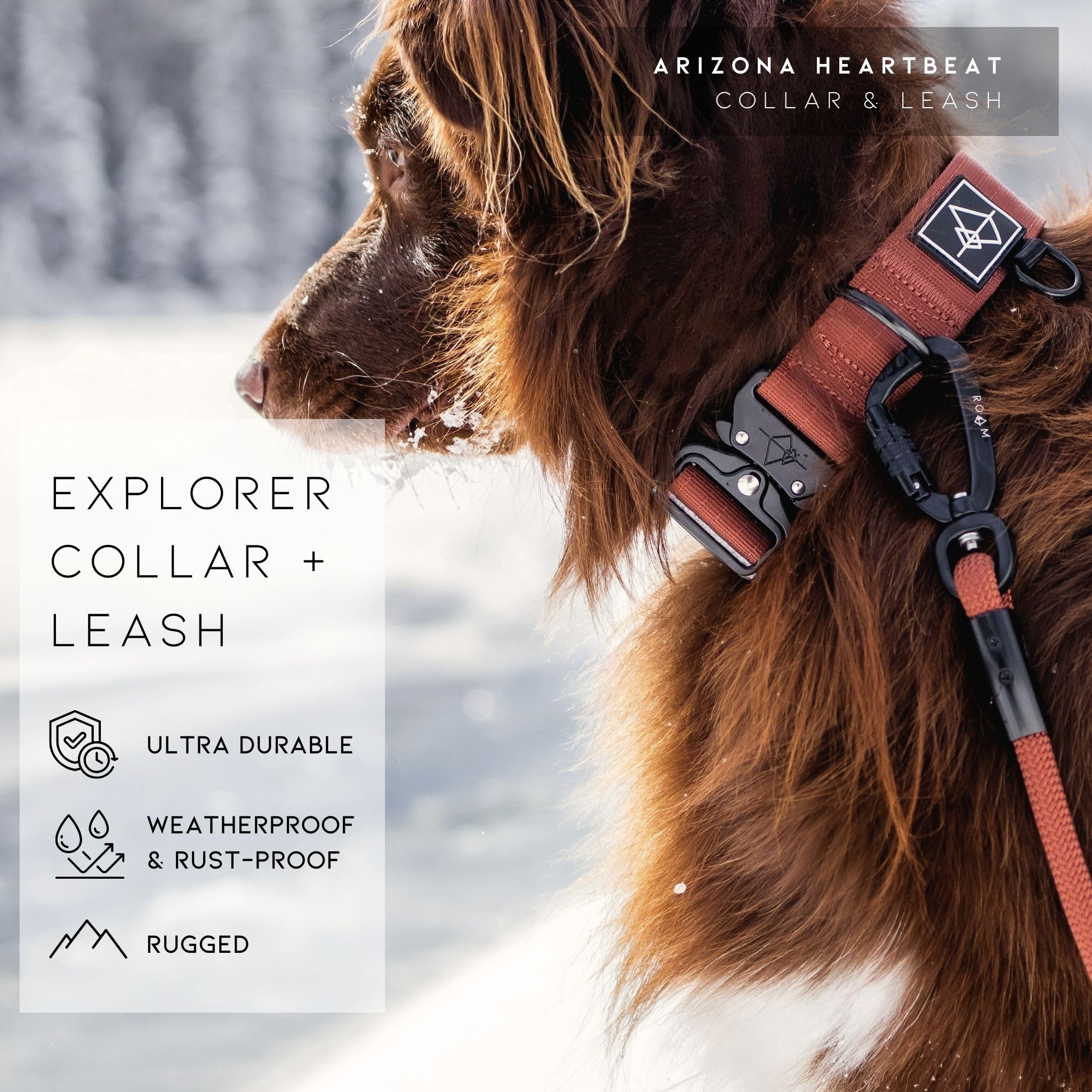 Four width options for Made to ROAM Oregon Haze collar