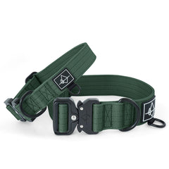 Quick-release buckle on Made to ROAM collar for fast, stress-free leash attachment.