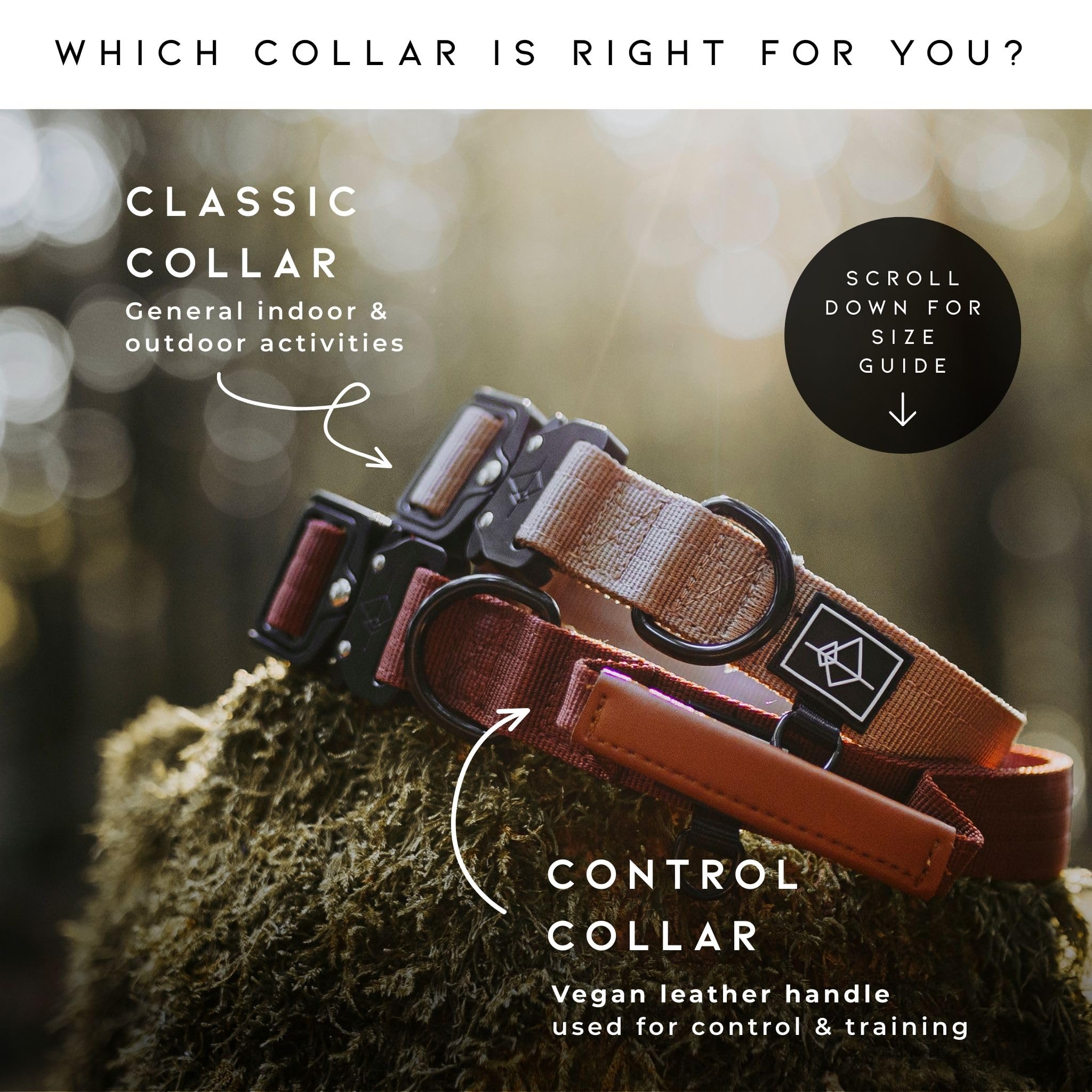 Made to ROAM premium collar Texas flair adds rugged style