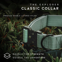 Made to ROAM premium collar weatherproof hardware for year round use