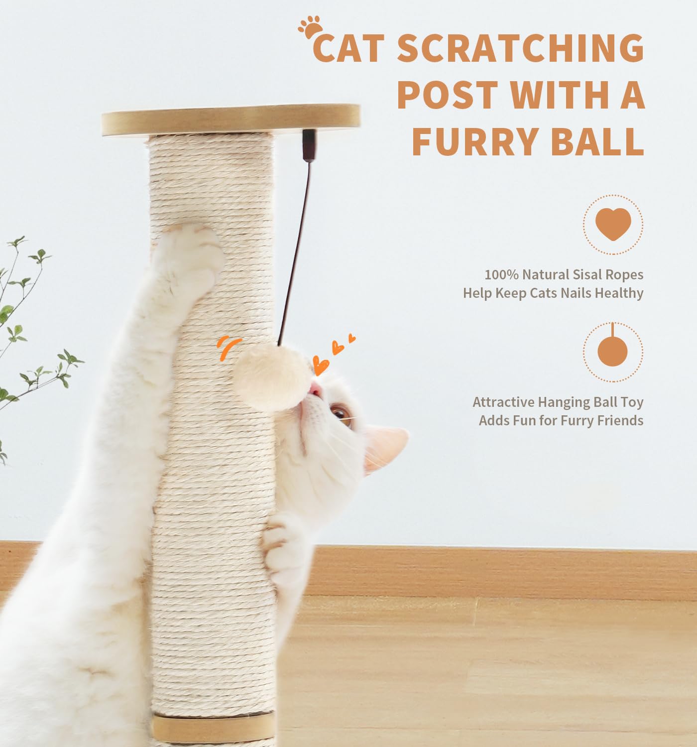 Keeps furniture safe by giving cats a dedicated scratching outlet
