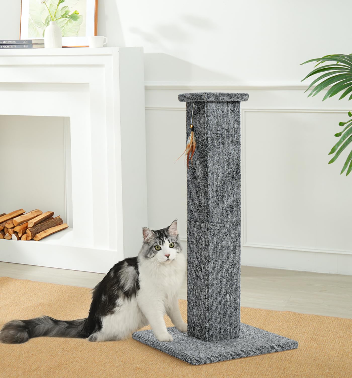 Made4Pets tall post suitable for kittens and adult cats.
