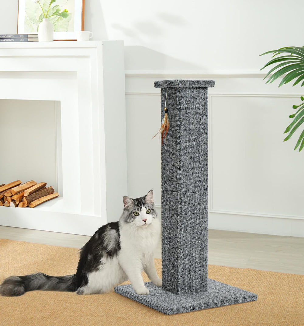 Made4Pets tall post suitable for kittens and adult cats.