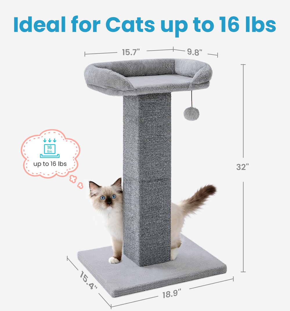 Made4Pets plush toy on the post encourages interactive play.