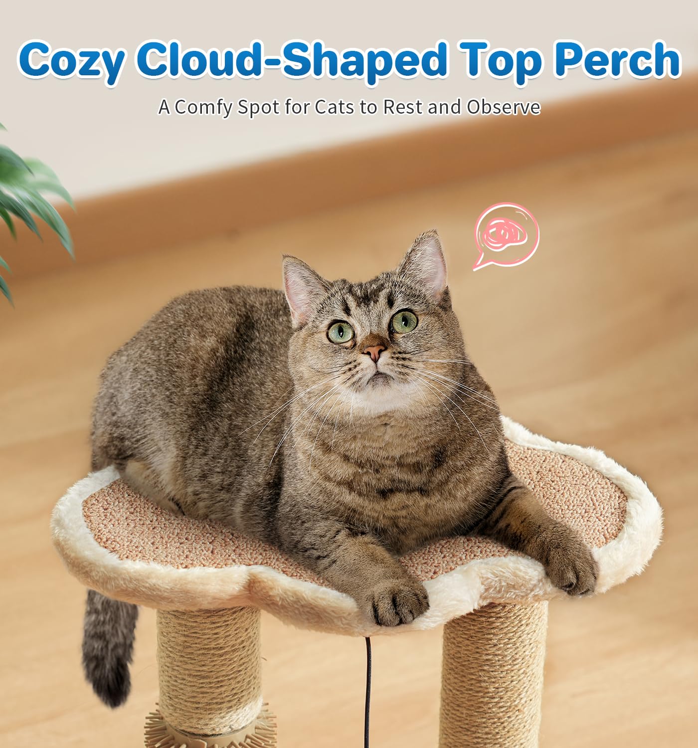 MADE 4 PETS compact design fits small spaces effortlessly.