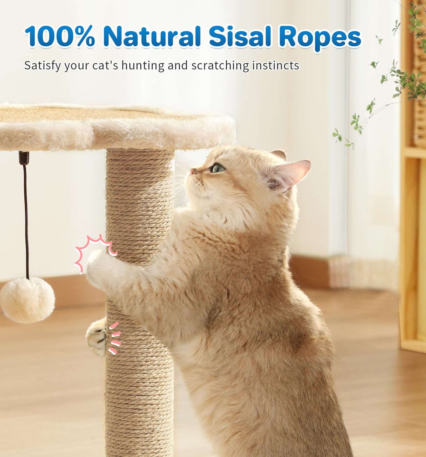 MADE 4 PETS interactive ball track keeps curious cats engaged.